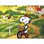 Snoopy  Peanuts Wallpaper 26798422 Fanpop