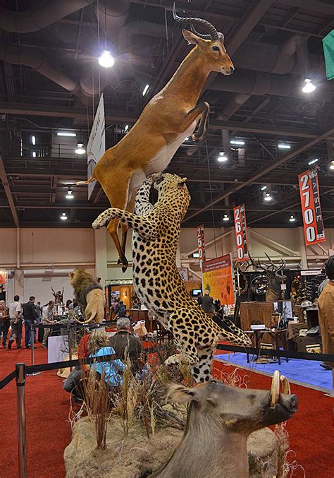 Amazing Taxidermy At The 2013 Sci Convention Petersens Hu