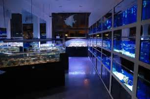New Fish Store in Madrid Spain to use Zero Edge Display tanks Reef 