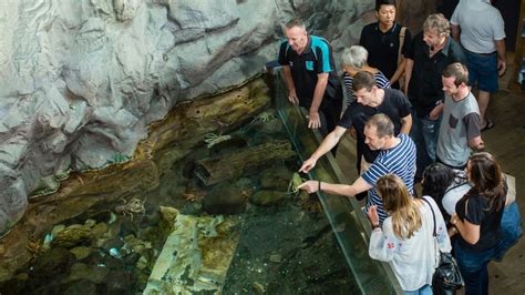 The National Aquarium Of Nz Travel New Zealand