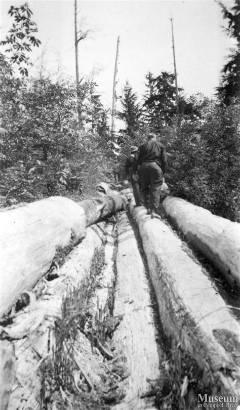 Logging Flume On Thurlow Island Campbell River Museum Online Gallery