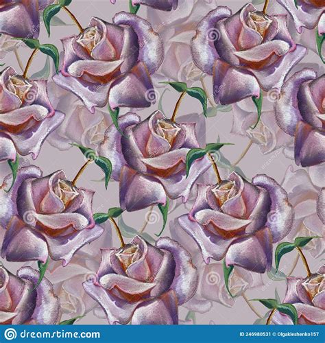 Violet Roses Drawing In Color Pencils Illustration For Your Ideas
