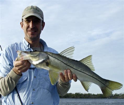 Lets Go Fishing On Floridas Big Bend Lesson 2 Snook Visit