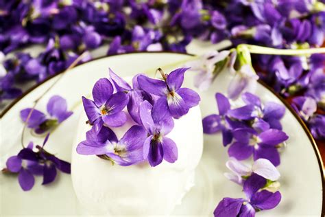 Get our best gardening ideas, tips and tricks to care for your outdoor space all year round. Can You Eat Violet Flowers: Learn About Edible Violet Plants