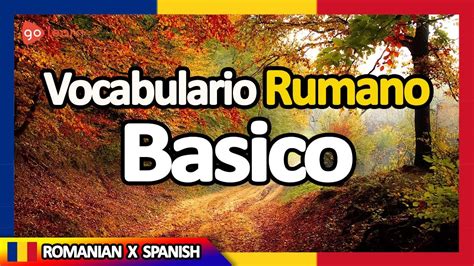 Aprender Rumano Vocabulario Rumano Basico Golearn Youtube