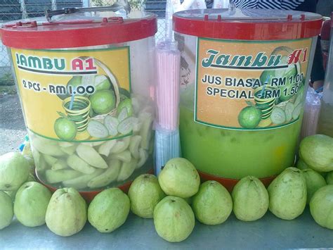 Assalamualaikum & salam sejahtera sahabat gadis penjual jambu batu jom kita tonton jangan lupa: JAMBU A1