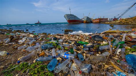 More Plastic Rubbish Than Fish In The Ocean By 2050 Report Warns