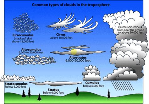 What Are Clouds? - Wonderful Weather for Second Graders