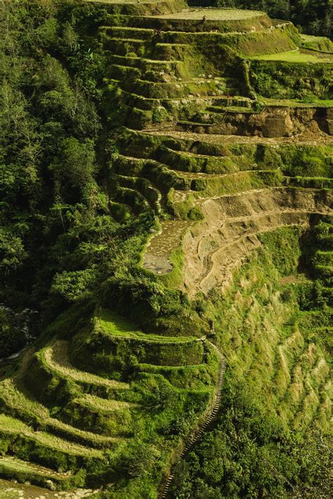 Aerial Photo Of Banaue Rice Terraces · Free Stock Photo