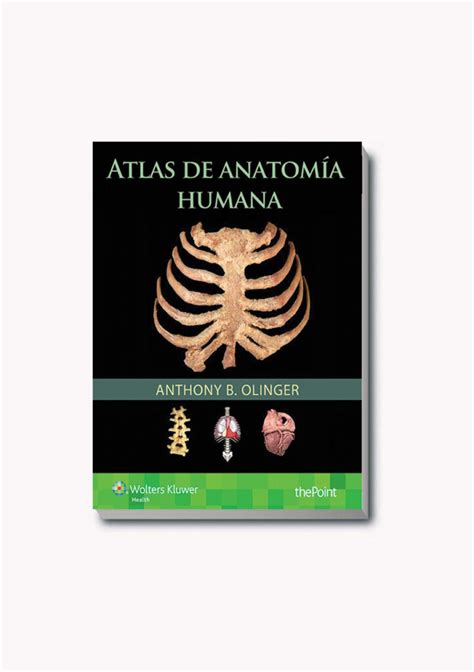 Atlas De Anatomía Humana Med Suq