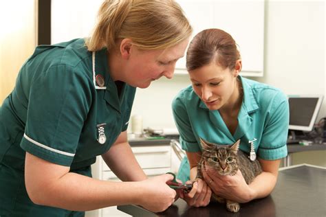 Breaking barriers and bringing nurses into the fold - Veterinary Practice