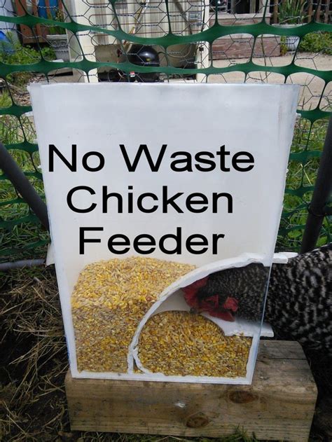 Diy no waste chicken feeder bin. DIY Chicken Feeders with no Waste | Chicken feeders, Chicken feeder diy, Chickens backyard