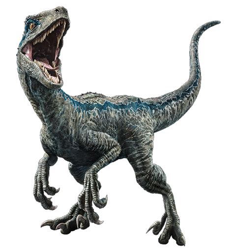 Fallen Kingdom Blue The Velociraptor V3 By Sonichedgehog2 On Deviantart Blue Jurassic World
