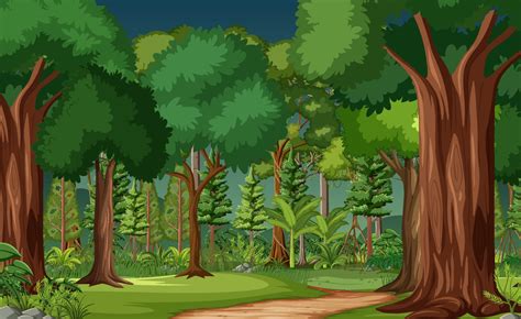 Clipart Forest Beautiful Forest Clipart Forest Beauti