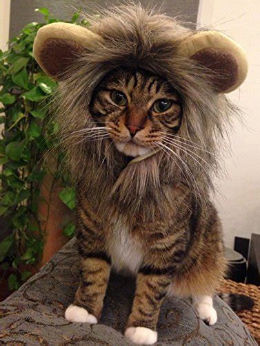 Itplus Pet Cosplay Costume Adjustable Lion Mane Wig Hat For Cat Or
