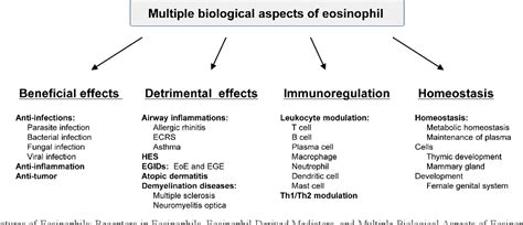 Figure 1 From Multiple Biological Aspects Of Eosinophils In Host