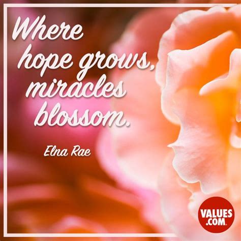 Where Hope Grows Miracles Blossom Elna Rae Blossom Quotes