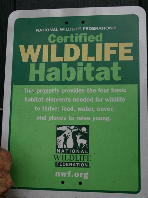 Certified Wildlife Habitat I Have An Acre Of Woods Sm Flickr