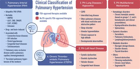 Emerging Therapeutics In Pulmonary Hypertension American Journal Of