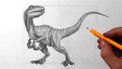 How To Draw Dinosaurs Velociraptor Pencil Drawing Youtube