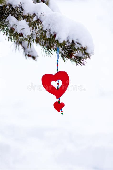 Snowy Christmas Tree Red Heart Ornament Stock Image Image Of Conifer