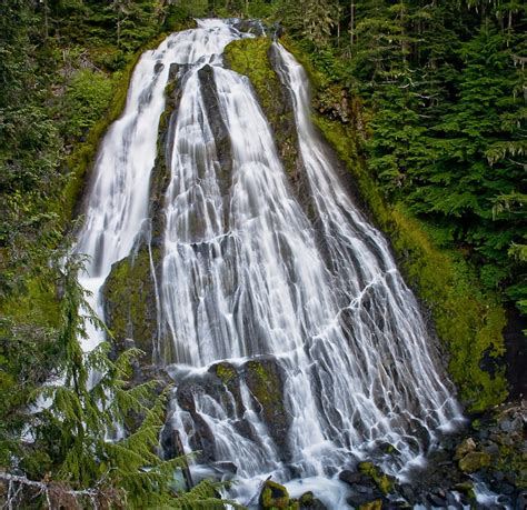 Diamond Creek Falls Lane County Oregon Northwest Waterfall Survey