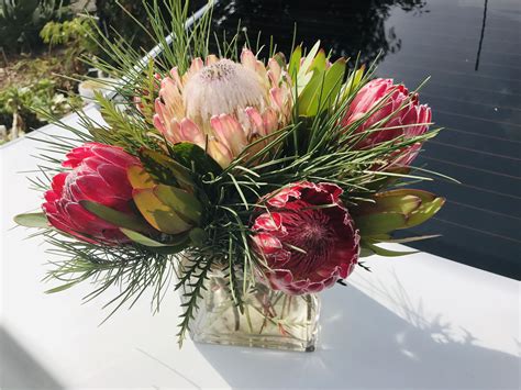 King Protea Flower Arrangements Like A Charm Vlog Art Gallery