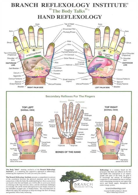 right hand reflexology chart