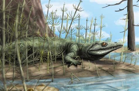 Paleontologists Discover 250 Million Year Old New Species Of Reptile In
