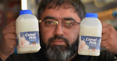 This post will give you a detailed explanation about nutrition, health benefits, and side effects of drinking camel milk. Camel milk flying off the shelves at Moss Side shop ...