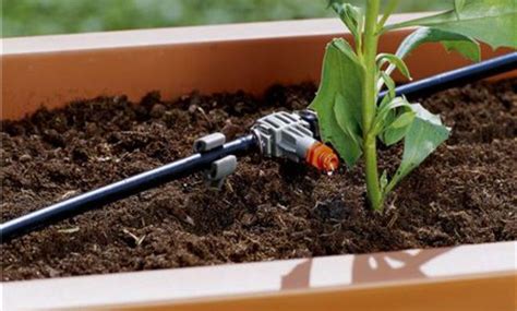 Heute zeige ich, wie ihr ein smartes garten bewässerungssystem selber bauen könnt. Pflanzen Bewässerungssystem Selber Bauen VJ35 ...
