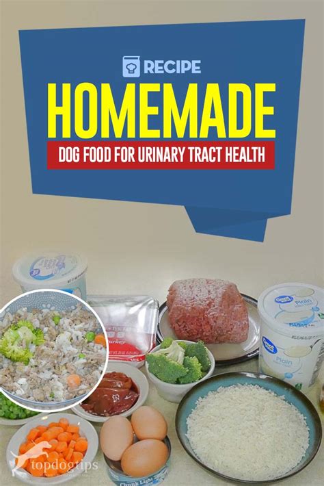 Homemade Dog Food For Urinary Tract Health Recipe