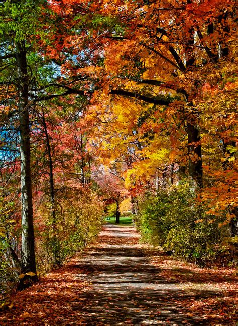 Fall Pathway Photograph By Fred Leblanc Fine Art America