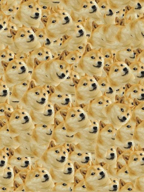 Free Download Its Full Of Doge Doge Wallpaper 1920x1080 14009