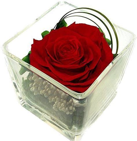 Echte Konservierte Rosen Infinity Blumenarrangements Im Glas Vase In