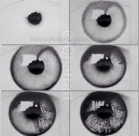 Drawn Eyeball Detailed In Detailed Eye Drawing Step By Step Collection