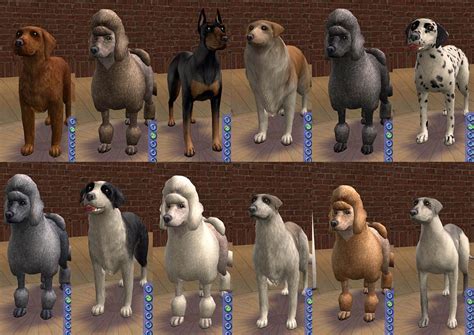 Mod The Sims Amjoie Dog Breeds Part Two Large Dogs Two Dozen