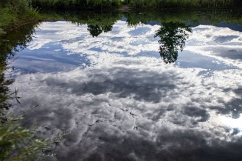Clouds Reflected In Pond Free Stock Photo Public Domain Pictures