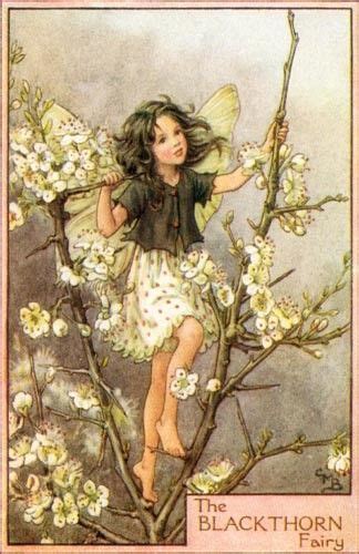 A Classic Vintage Illustration Of A Woodland Fairy Public Domain