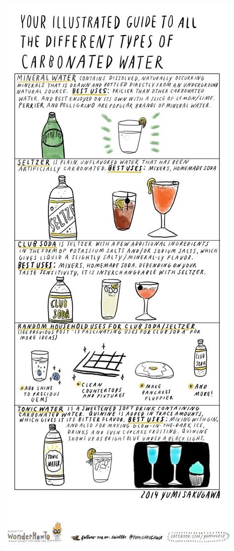 Your Illustrated Guide To Different Types Of Carbonated Water The Secret Yumiverse Wonderhowto