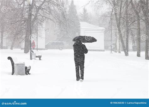Male Pedestrian Hiding From The Snow Under Umbrella Stock Photo Image