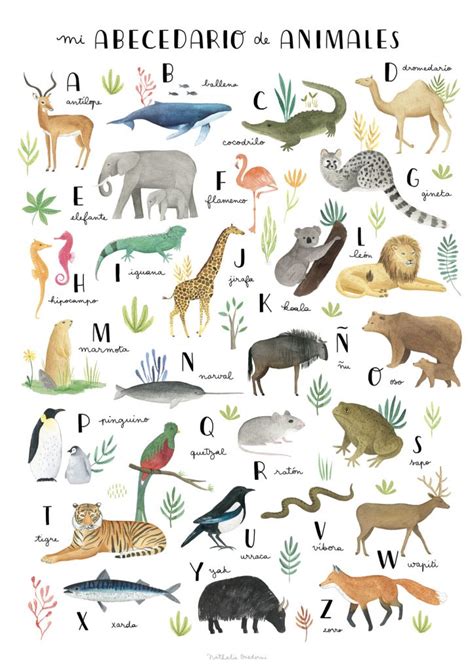 Animal Alphabet Abecedario De Animales Apic Alphabet For Kids