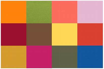 Trending Colors Meet Shades Classic Introducing Many