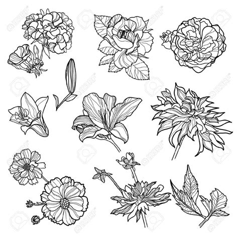 How To Draw All Different Flowers How To Do Thing