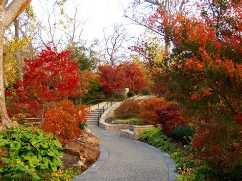 Autumn At The Dallas Arboretum Dallas Arboretum Fall Leaves Fall