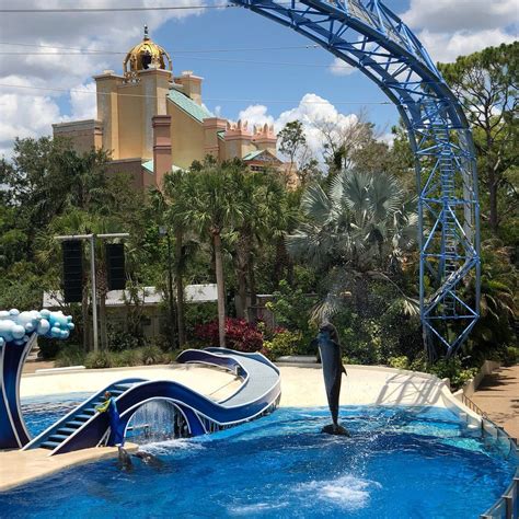 Discover trends and information about world of decor / orlando warehouse from u.s. whale show was great fun - Review of SeaWorld Orlando ...