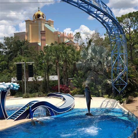 1 valoración para world of decor. whale show was great fun - Review of SeaWorld Orlando ...