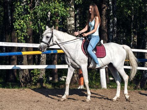 A Beautiful Girl Is Riding A White Horse Stock Photo Image Of Person