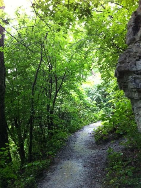 Indian Ladder Trail Thatcher State Park Albany County Ny Beautiful