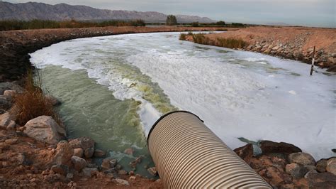 Cleanup Efforts Aim To Turn The Polluted New River Into A Water